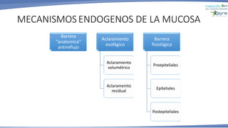 MECANISMOS ENDOGENOS DE LA MUCOSA
Barrera
“anatomica”
antireflujo
Aclaramiento
esofágico
Aclaramiento
volumétrico
Aclarameinto
residual
Barrera
fisiológica
Preepiteliales
Epiteliales
Postepiteliales
 