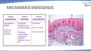 MECANISMOS ENDOGENOS
 