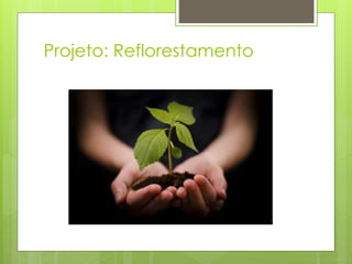 Projeto: Reflorestamento 
 