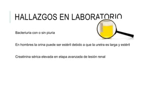 HALLAZGOS EN LABORATORIO
Bacteriuria con o sin piuria
En hombres la orina puede ser estéril debido a que la uretra es larga y estéril
Creatinina sérica elevada en etapa avanzada de lesión renal
 