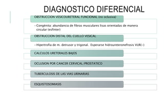 DIAGNOSTICO DIFERENCIAL
• Congénita: abundancia de fibras musculares lisas orientadas de manera
circular (esfínter)
OBSTRUCCION VESICOURETERAL FUNCIONAL (no oclusiva)
• Hipertrofia de m. detrusor y trigonal. Esperarse hidroureteronefrosis VUR(-)
OBSTRUCCION DISTAL DEL CUELLO VESICAL
CALCULOS URETERALES BAJOS
OCLUSION POR CANCER CERVICAL/PROSTATICO
TUBERCULOSIS DE LAS VIAS URINARIAS
ESQUISTOSOMIASIS
 