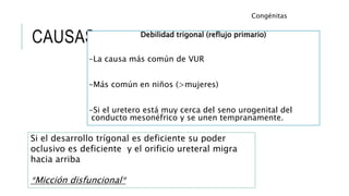 CAUSAS Debilidad trigonal (reflujo primario)
-La causa más común de VUR
-Más común en niños (>mujeres)
-Si el uretero está muy cerca del seno urogenital del
conducto mesonéfrico y se unen tempranamente.
Congénitas
Si el desarrollo trígonal es deficiente su poder
oclusivo es deficiente y el orificio ureteral migra
hacia arriba
*Micción disfuncional*
 