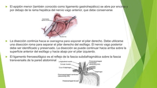 REFLUJO GASTROESOFAGICO pptx reflujo-gastroesofagico-pptx