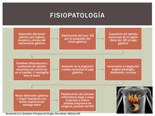 Distensión del fondo
gástrico por ingesta
excesiva y retraso del
vaciamiento gástrico
Disminución del tono EEI
por la expansión del
fondo gástrico
Exposición del epitelio
escamoso de la región
distal del EEI al jugo
gástrico
Cambios inflamatorios y
sustitución de epitelio
escamoso por columnar
en el cardias  esofagitis
leve al inicio
Aumento de la deglución
y saliva neutraliza el jugo
gástrico
Incremento en deglución
origina aerofagia,
distensión y eructos
Mayor distensión gástrica
y mayor exposición con
lesión repetitiva del
esófago distal
Perpetuación del proceso
inflamatorio llega a capa
muscular e induce
pérdida progresiva de
longitud y presión del EEI
FISIOPATOLOGÍA
Brunicardi et al. Schwartz. Principios de Cirugía. 9na edición. McGraw Hill
 