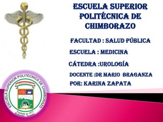 Cátedra :Urología
POR: KARINA ZAPATA
Facultad : Salud Pública
Escuela : medicina
Docente :Dr Mario Braganza
 