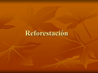 Reforestación
 
