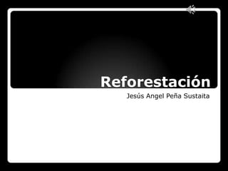 Reforestación
Jesús Angel Peña Sustaita

 