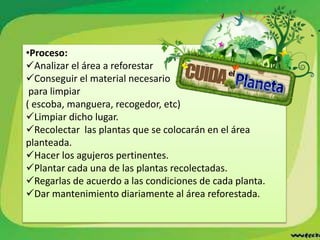 •Proceso:
Analizar el área a reforestar
Conseguir el material necesario
para limpiar
( escoba, manguera, recogedor, etc)
Limpiar dicho lugar.
Recolectar las plantas que se colocarán en el área
planteada.
Hacer los agujeros pertinentes.
Plantar cada una de las plantas recolectadas.
Regarlas de acuerdo a las condiciones de cada planta.
Dar mantenimiento diariamente al área reforestada.
 