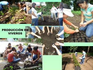 PRODUCCIÓN EN
   VIVEROS
 