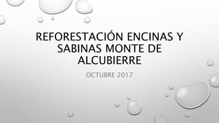 REFORESTACIÓN ENCINAS Y
SABINAS MONTE DE
ALCUBIERRE
OCTUBRE 2017
 