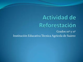 Actividad de Reforestación Grados 10º y 11º Institución Educativa Técnica Agrícola de Suárez 