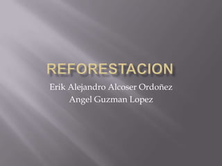 reforestacion Erik Alejandro Alcoser Ordoñez AngelGuzmanLopez 