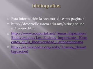 bibliografíasEsta información la sacamos de estas paginas:http://desarrollo.uacm.edu.mx/sitios/pauacm/trueno.htmlhttp://www.ecoportal.net/Temas_Especiales/Biodiversidad/Los_Encinos_Importantes_Elementos_de_la_Biodiversidad_Latinoamericanahttp://es.wikipedia.org/wiki/Trueno_(desambiguación)