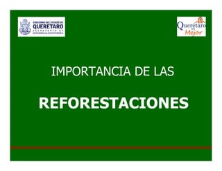 IMPORTANCIA DE LAS 
REFORESTACIONES 
 