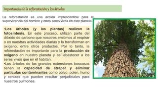 Importancia de la reforestacióny los árboles
La reforestación es una acción imprescindible para la
supervivencia del hombre y otros seres vivos en este planeta.
•Los árboles (y las plantas) realizan la
fotosíntesis. En este proceso, utilizan parte del
dióxido de carbono que nosotros emitimos al respirar
o en nuestras actividades diarias y lo transforman en
oxígeno, entre otros productos. Por lo tanto, la
reforestación es importante para la producción de
oxígeno en nuestro planeta y así abastecer a los
seres vivos que en él habitan.
•Los árboles de las grandes extensiones boscosas
tienen la capacidad de atrapar y eliminar
partículas contaminantes como polvo, polen, humo
y cenizas que pueden resultar perjudiciales para
nuestros pulmones.
 