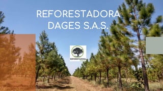 REFORESTADORA
DAGES S.A.S.
 