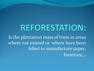 Is the plantation mass of trees in areas
where not existed or where have been
felled to manufacture paper,
furniture...
 