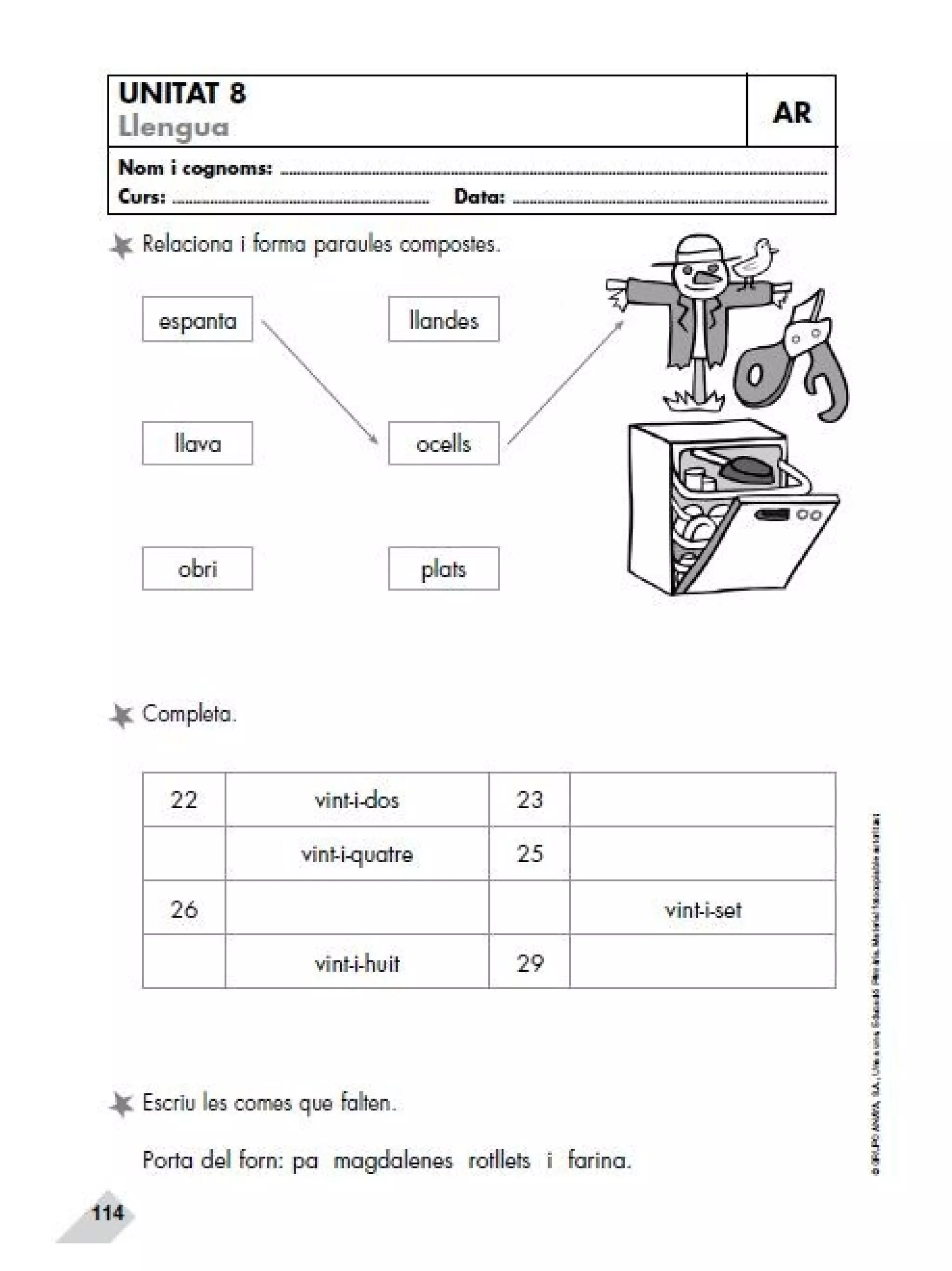 Reforç i ampli. llengua 2n trim