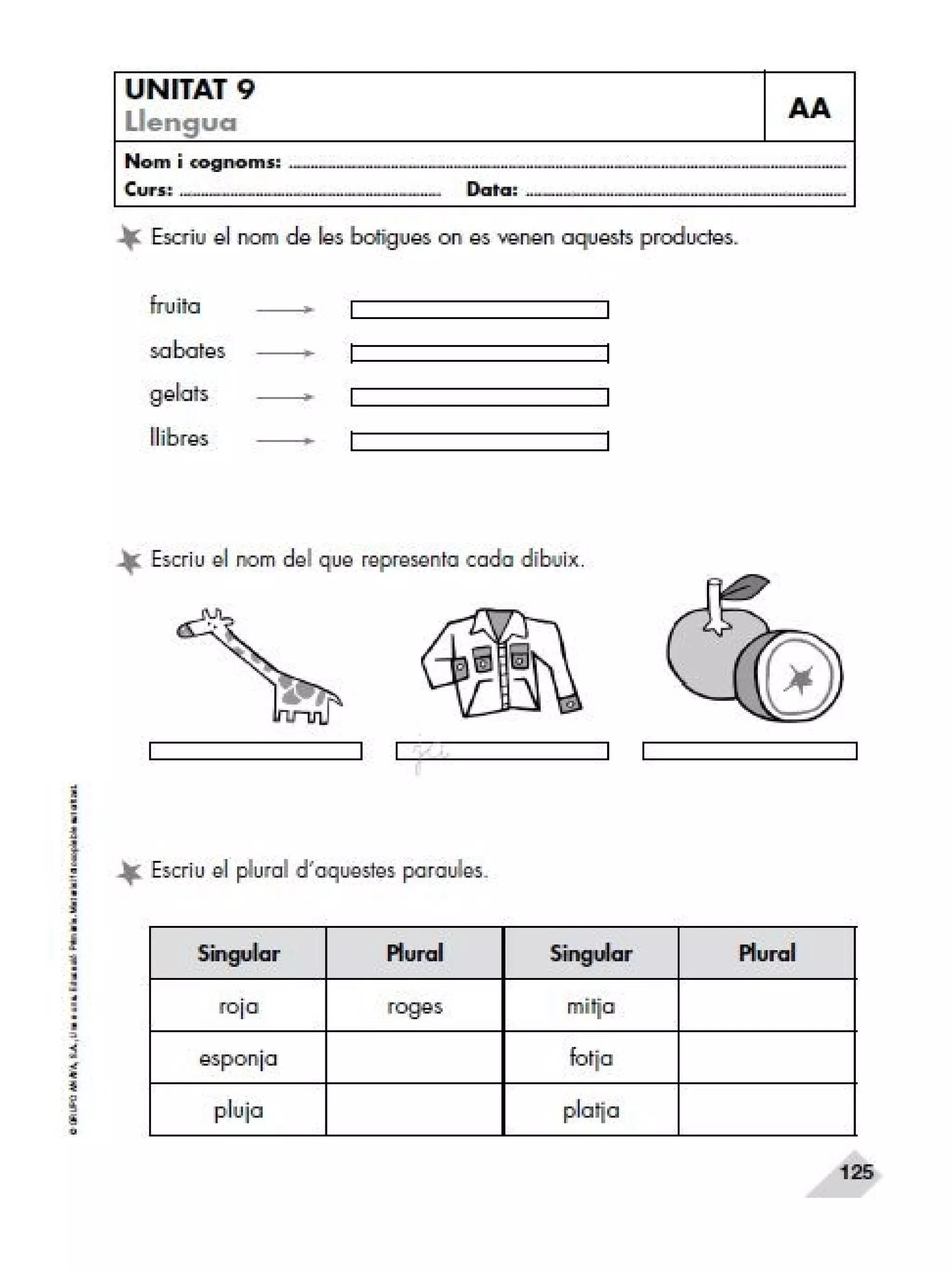 Reforç i ampli. llengua 2n trim