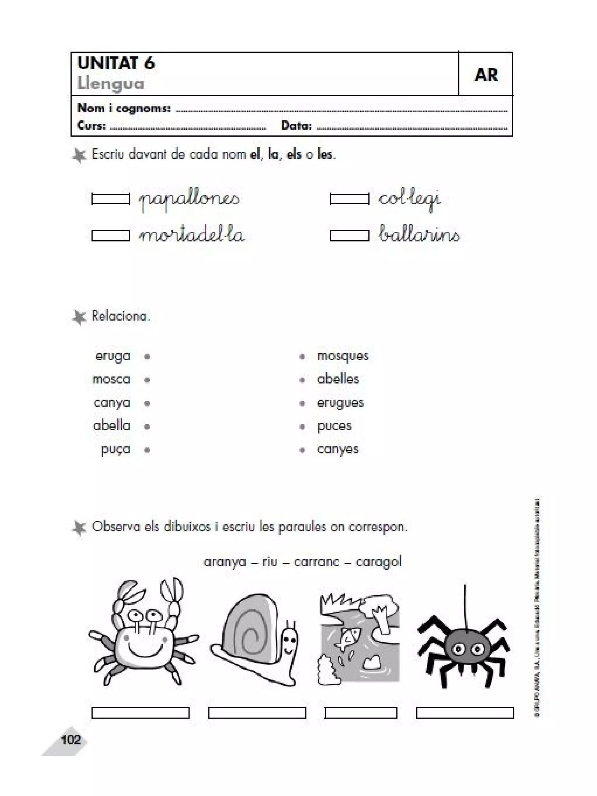 Reforç i ampli. llengua 2n trim