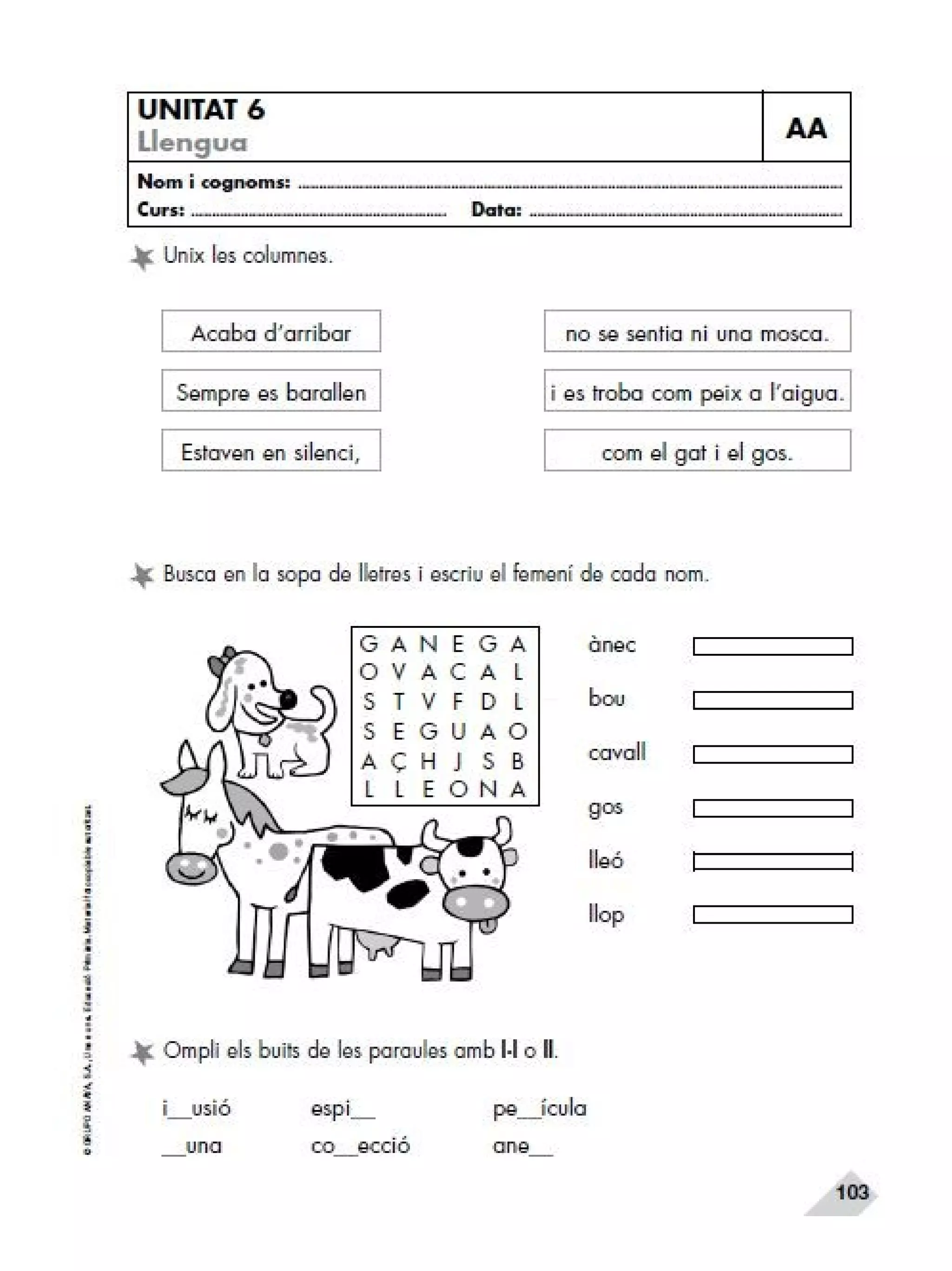 Reforç i ampli. llengua 2n trim