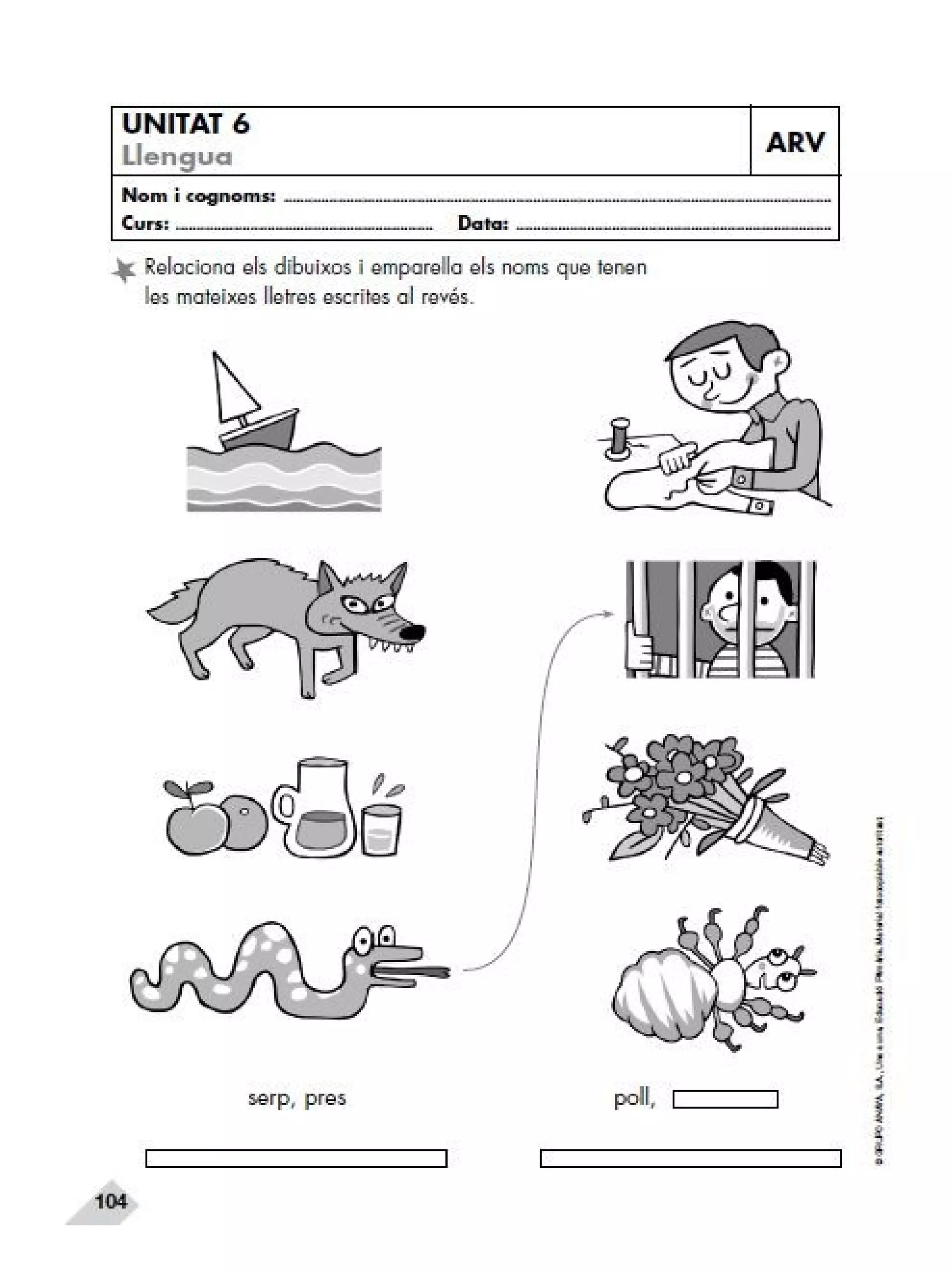 Reforç i ampli. llengua 2n trim