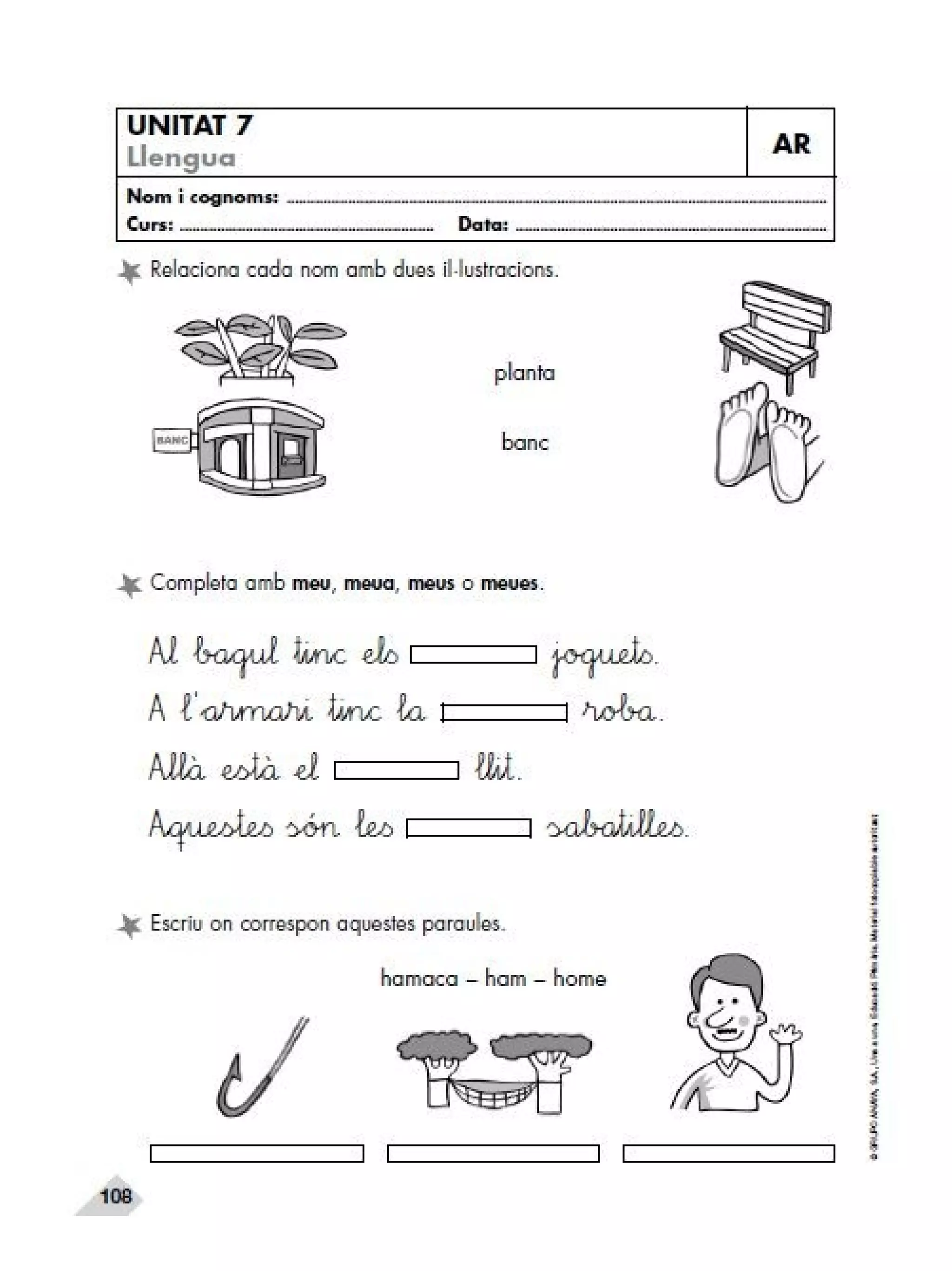 Reforç i ampli. llengua 2n trim