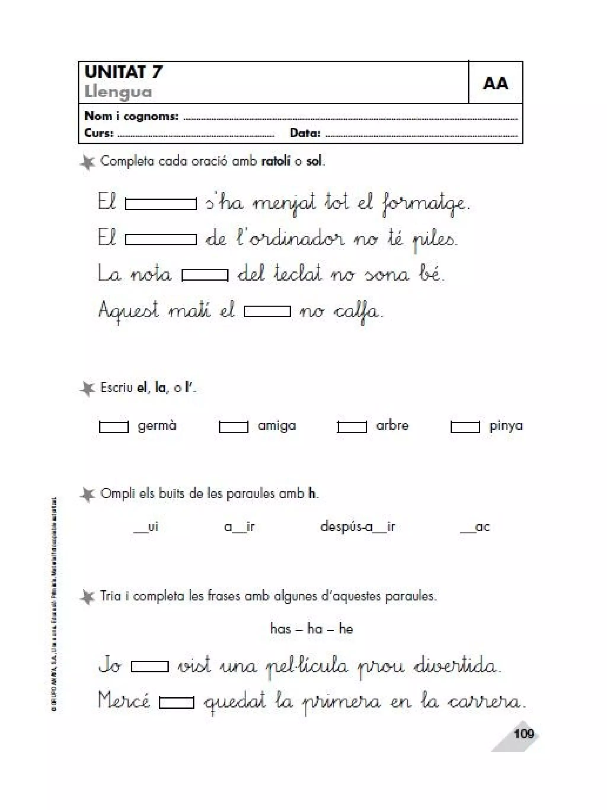 Reforç i ampli. llengua 2n trim