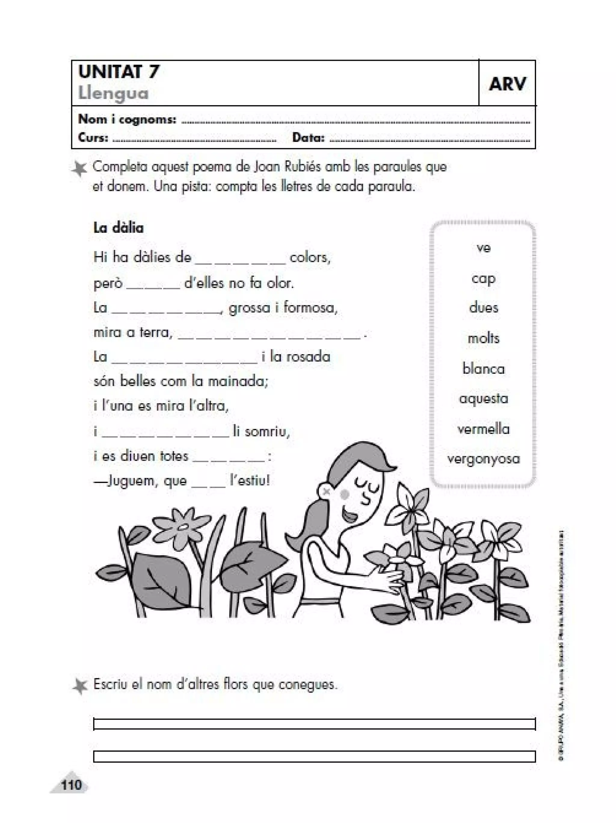 Reforç i ampli. llengua 2n trim