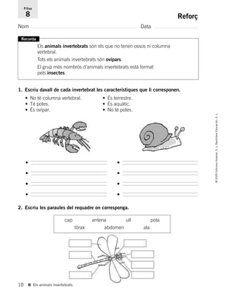 10
©2005EdicionsVoramar,S.L./SantillanaEducación,S.L.
■ Els animals invertebrats.
Reforç
Nom Data
Fitxa
8
Recorda
Els anim...