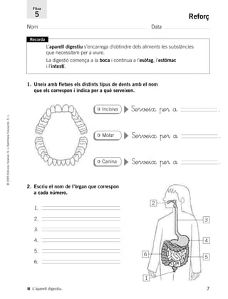 7
©2005EdicionsVoramar,S.L./SantillanaEducación,S.L.
Reforç
Nom Data
Fitxa
5
■ L’aparell digestiu.
Recorda
L’aparell diges...