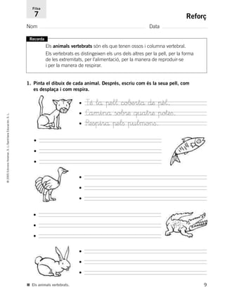 9
©2005EdicionsVoramar,S.L./SantillanaEducación,S.L.
Reforç
Nom Data
Fitxa
7
■ Els animals vertebrats.
Recorda
Els animals...