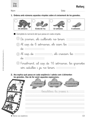 13
©2005Voramar/SantillanaEducación,S.L.
Reforç
Nom Data
Fitxa
11
■ Narrar una seqüència
1. Ordena amb números aquestes vinyetes sobre el creixement de les granotes.
Finalment De primer A continuació
16 setmanes Eixida de l’ou 12 setmanes 6 setmanes
■ Completa la narració del que passa en cada vinyeta.
Dæ priµe®, elﬁ cul¬erotﬁ no †e>e>
A¬ caπ ∂æ 6 ßetma>eﬁ, elﬁ i≈e> ¬eﬁ
∂æ
A¬ caπ ∂æ , elﬁ c®ei≈e> ¬eﬁ
∂æ
Finalµen†, a¬ caπ ∂æ 16 ßetma>eﬁ, ¬eﬁ grano†eﬁ
só> adul†eﬁ ^ jå no †e>e>
1
2
3
4
2. Ara explica què passa en cada seqüència i sabràs com s’alimenten
les granotes. Has de fer servir aquestes expressions.
localitzå lå p®eså ^
785385 _ 0001-0048.qxd 20/12/04 17:38 Página 13
 