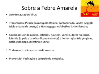 Sobre a Febre Amarela
• Agente causador: Vírus;
• Transmissão: Picada do mosquito (fêmea) contaminado: Aedes aegypti
(ciclo urbano da doença) e Haemagogus e Sabethes (ciclo silvestre;
• Sintomas: Dor de cabeça, calafrios, náuseas, vômito, dores no corpo,
icterícia (a pele e os olhos ficam amarelos) e hemorragias (de gengivas,
nariz, estômago, intestino e urina)
• Tratamento: Não existe medicamento.
• Prevenção: Vacinação e controle do mosquito.
 