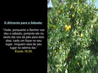 O Alimento para o Sábado:

“Vede, porquanto o Senhor vos
 deu o sábado, portanto ele no
sexto dia vos dá pão para dois
  dias; cada um fique no seu
  lugar, ninguém saia do seu
     lugar no sétimo dia.”
         Êxodo 16:29.
 