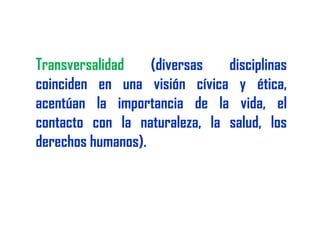 Reforma educativa2009  rruiz