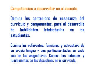 Reforma educativa2009  rruiz