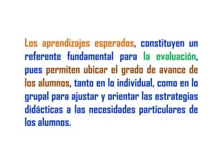 Reforma educativa2009  rruiz