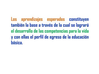 Reforma educativa2009  rruiz