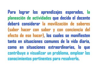 Reforma educativa2009  rruiz