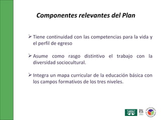 Tiene continuidad con las  competencias para la vida y el perfil de egreso Asume como rasgo distintivo el trabajo con la diversidad sociocultural. Integra un mapa curricular de la educación básica con los campos formativos de los tres niveles. Componentes relevantes del Plan 