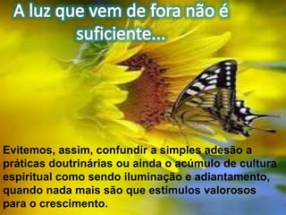 Evitemos, assim, confundir a simples adesão a
práticas doutrinárias ou ainda o acúmulo de cultura
espiritual como sendo iluminação e adiantamento,
quando nada mais são que estímulos valorosos
para o crescimento.
 