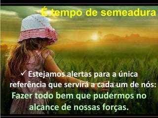 Estejamos alertas para a única
referência que servirá a cada um de nós:
Fazer todo bem que pudermos no
alcance de nossas forças.
É tempo de semeadura
 