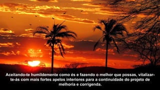 Aceitando-te humildemente como és e fazendo o melhor que possas, vitalizar-
te-ás com mais fortes apelos interiores para a continuidade do projeto de
melhoria e corrigenda.
 