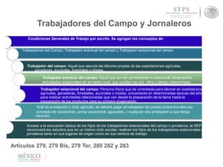 Trabajadores del Campo y Jornaleros
Condiciones Generales de Trabajo por escrito. Se agregan los conceptos de:
Trabajadores del Campo, Trabajador eventual del campo y Trabajador estacional del campo
Trabajador del campo: Aquel que ejecuta las labores propias de las explotaciones agrícolas,
ganaderas, acuícolas, forestales o mixtas.
Trabajador eventual del campo: Aquel que sin ser permanente ni estacional, desempeña
actividades ocasionales en el medio rural, que pueden ser por obra y tiempo determinado.
Trabajador estacional del campo: Persona física que es contratada para laborar en explotaciones
agrícolas, ganaderas, forestales, acuícolas o mixtas, únicamente en determinadas épocas del año
para realizar actividades relacionadas que van desde la preparación de la tierra hasta la
preparación de los productos para su primera enajenación.
final de la estación o ciclo agrícola, se deberá pagar al trabajador las partes proporcionales por
concepto de vacaciones, prima vacacional, aguinaldo, y cualquier otra prestación a que tenga
derecho.
Acceso a la educación básica de los hijos de los trabajadores estacionales del campo o jornaleros, la SEP
reconocerá los estudios que en un mismo ciclo escolar, realicen los hijos de los trabajadores estacionales o
jornaleros tanto en sus lugares de origen como en sus centros de trabajo.
Artículos 279, 279 Bis, 279 Ter, 280 282 y 283
 