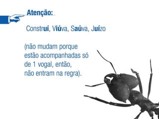 Reforma Ortográfica - Edição revisada