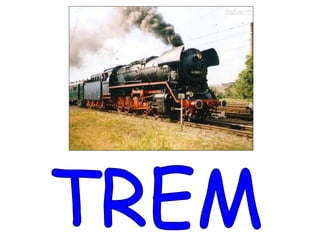 TREM 