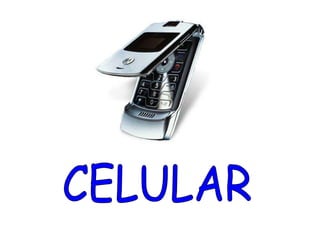 CELULAR 