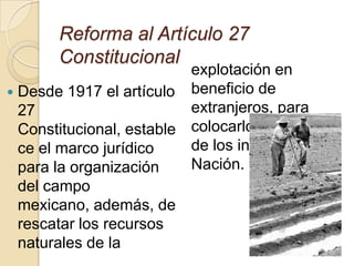 Reforma al Artículo 27
Constitucional
 Desde 1917 el artículo
27
Constitucional, estable
ce el marco jurídico
para la organización
del campo
mexicano, además, de
rescatar los recursos
naturales de la
explotación en
beneficio de
extranjeros, para
colocarlos al servicio
de los intereses de la
Nación.
 
