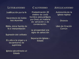 LUTERANISMO
Justificación porla fe
Sacerdocio de todos
loscreyentes
Biblia, única fuente de
fe e interpretación
Supresión del celibato
El culto a la virgen y a
lossantosha de
suprimirse
I
glesia subordinada al
Estado
C ALVINISMO
Predestinación (El
destino de cada
hombre está prefijado
porDios) ,en materia
de salvación o de
condenación.
La prosperidad era
signo de salvación
Separación I
glesia -
Estado
ANGLICANISMO
Autonomía de la
iglesia inglesa
Divorcio
Libro de Oración
Común
 